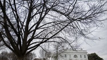La Casa Blanca en Washington el 18 de enero del 2025. (AP foto/Rod Lamkey, Jr.)