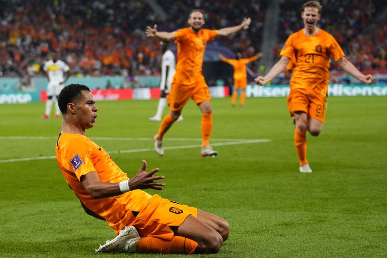 DEP-FUT MUNDIAL SENEGAL-HOLANDA