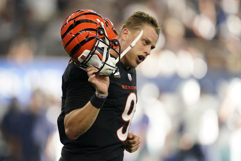 DEP-NFL DOLPHINS-BENGALS