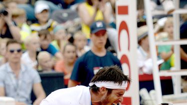 americateve | El argentino Leonardo Mayer festeja tras vencer al espa&ntilde;ol David Ferrer en la final del torneo de Hamburgo, el domingo 20 de julio de 2014. (AP Foto/dpa, Daniel Reinhardt)