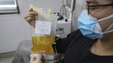 Estudian usar sangre de pacientes recuperados de coronavirus