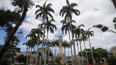 la junta de gobierno de la upr celebra asignacion de $500 millones por cinco anos