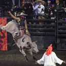 Un miembro del equipo de charrería monta un toro en el espectáculo Jaripeo hasta los huesos tour 2024 de Pepe Aguilar en el Honda Center en Anaheim, California, el viernes 29 de marzo de 2024. El espectáculo rinde homenaje al Día de Muertos, una conocida celebración mexicana. (Foto AP/Damian Dovarganes)