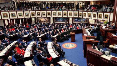 senado estatal de la florida debate sobre el control de armas