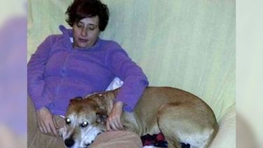 americateve | Teresa Romero declaró que quiere que se investigue cómo se contagió, los comentarios de quienes la acusaron de negligencia y el sacrificio de su perro Excálibur. "Me siento atropellada", resumió