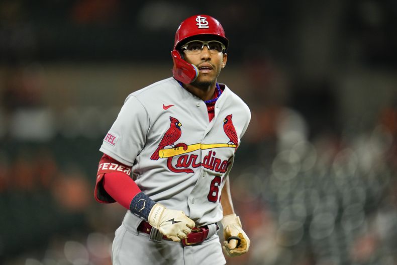 Richie Palacios, de los Cardenales de San Luis, se dirige a la cueva tras un turno al bate ante los Orioles de Baltimore, el miércoles 13 de septiembre de 2023 (AP Foto/Julio Cortez)
