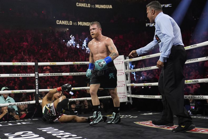 El mexicano Saúl Canelo Álvarez derriba a su compatriota Jaime Munguía en la pelea del sábado 4 de mayo de 2024, en Las Vegas (AP Foto/John Locher)