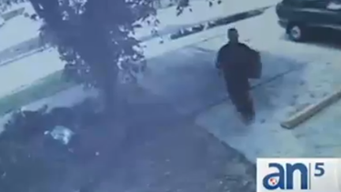 americateve | Dos hombres asaltaron a una anciana esta mañana en su casa de Miami.