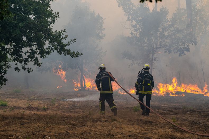 Bomberos rocían agua en un bosque en llamas en la región de Lège-Cap-Ferret, en el oeste de Francia, el 24 de julio de 2026. (AP Foto/Caroline Blumberg)