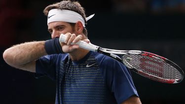 americateve | El argentino Juan Mart&iacute;n del Potro se seca el sudor en un partido contra Roger Federer en el Masters de Par&iacute;s el viernes, 1 de noviembre de 2013. (AP Photo/Francois Mori)