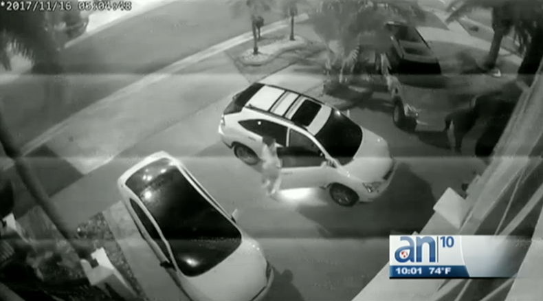 Screen Shot 2017-11-20 at 10.17.56 PM.png