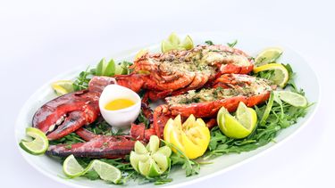 miccosukee dining and nightlife