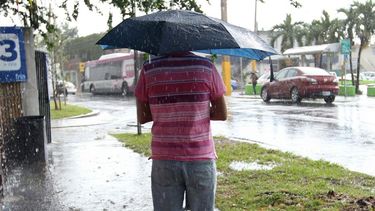 Onda tropical pierde organización