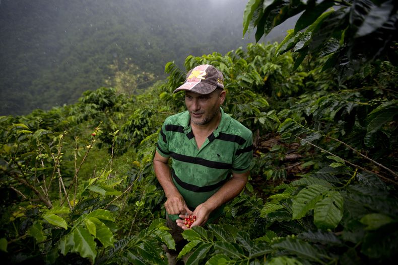 REP-GEN_VENEZUELA-CARDENALITO_RESCATE-1.jpg