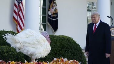 Trump no desiste y agencias colaboran en transición de Biden