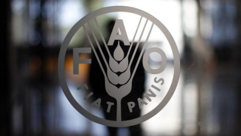 fao-aprueba-plan-estrategico-de-cooperacion-en-diversas-areas-con-venezuela-121379.jpg