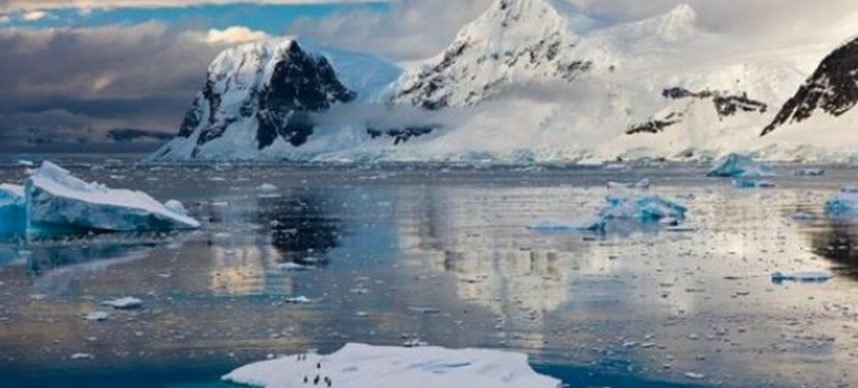 Screen Shot 2018-06-14 at 10.37.45 AM.png