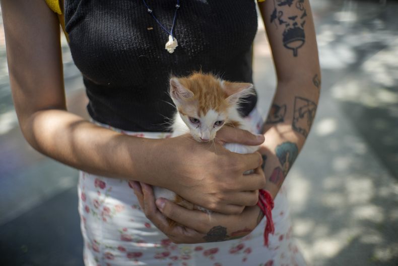Una chica sostiene su gatito recién adoptado en una feria de adopción en La Habana, Cuba, el sábado 28 de septiembre de 2024. (AP Foto/Ramón Espinosa)