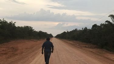 Brasil da permiso para pavimentar carretera en la Amazonía