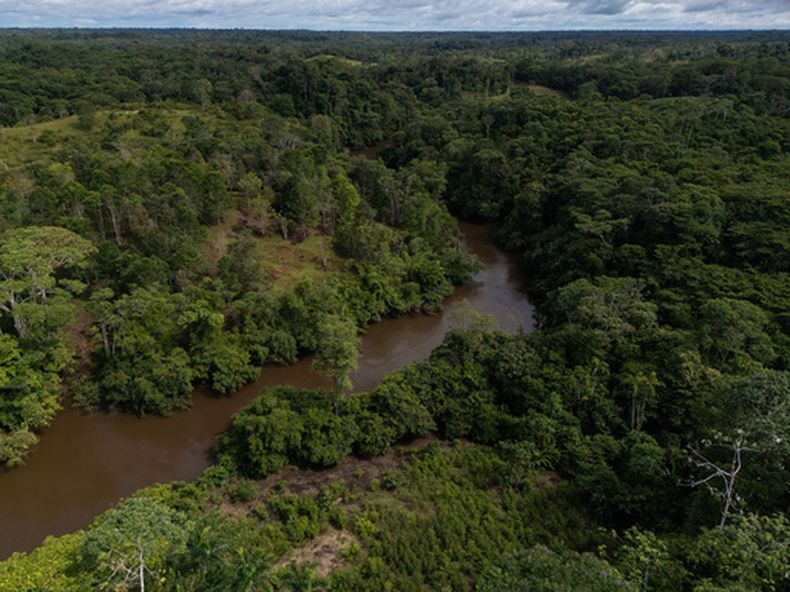 El río Putumayo fluye cerca de algunas zonas con deforestación, el 26 de noviembre de 2025, a las afueras de Puerto Asís, Colombia. (AP Foto/Ivan Valencia, Archivo)