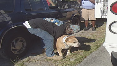 perros atacan a dos mujeres y matan a perrito en hollywood