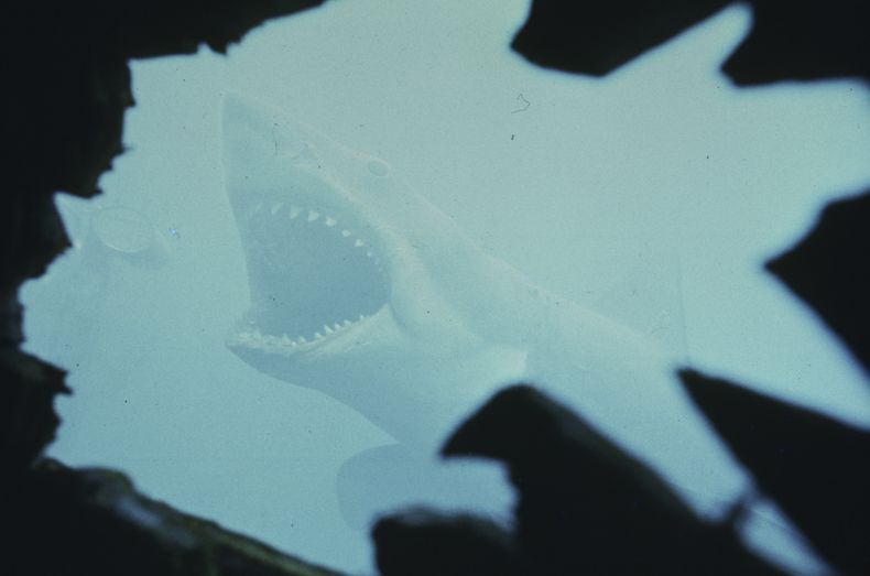 Esta imagen publicada por Peacock muestra una escena de Jaws. (Peacock/Universal Pictures via AP)