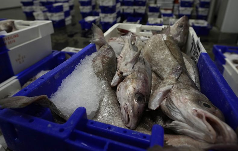 EUR-GEN FRANCIA-OCÉANOS