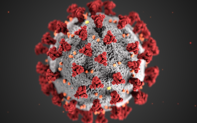 coronavirus 2021
