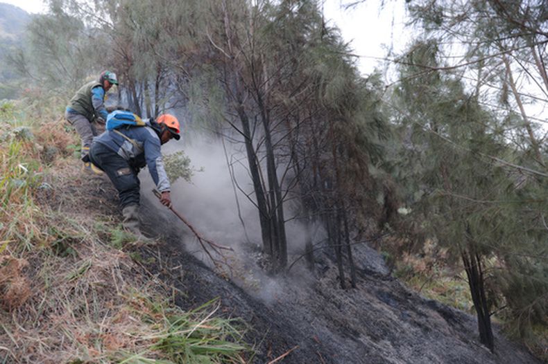 Bomberos intentan apagar un incendio forestal que se extiende por vegetación cerca del monte Bromo, en el Parque Nacional Bromo Tengger Semeru en Probolinggo, Java Oriental, Indonesia, el lunes 10 de agosto de 2026. (AP Foto/Trisnadi)