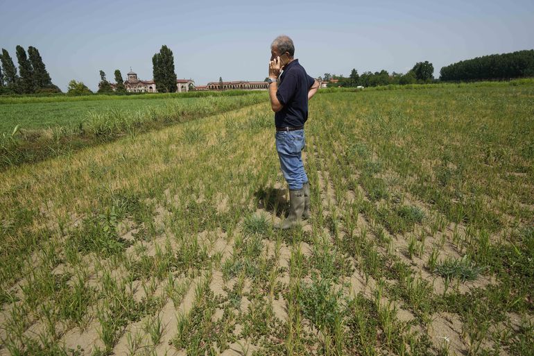 Sequía puede dejar a los italianos sin risotto