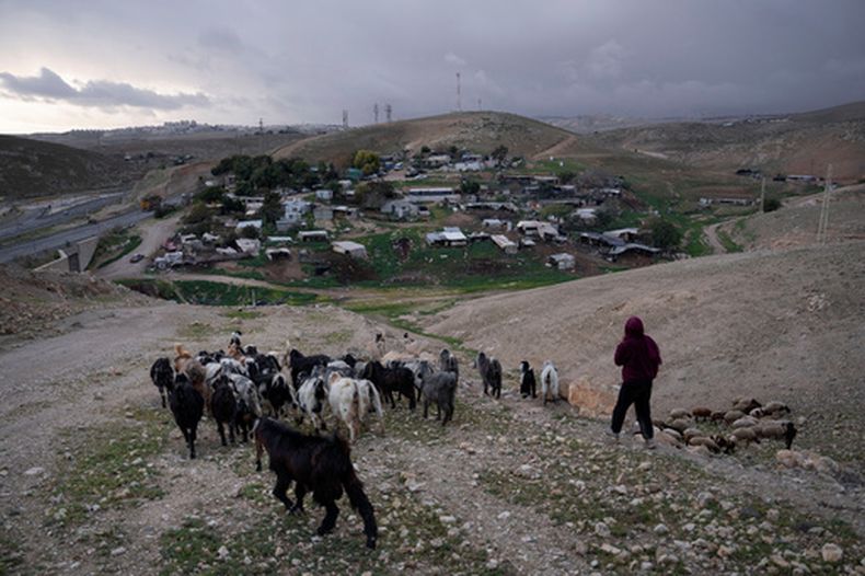 Un pastor beduino en la aldea de Khan al-Ahmar en Cisjordania, el 31 de enero del 2023. (AP foto/Oded Balilty)
