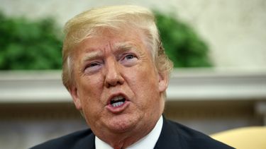 investigacion revela que buscaban impedir que trump llegara a presidente
