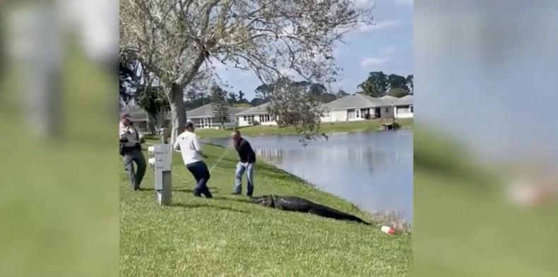 Screenshot 2023-02-21 at 10.21.15 AM.png