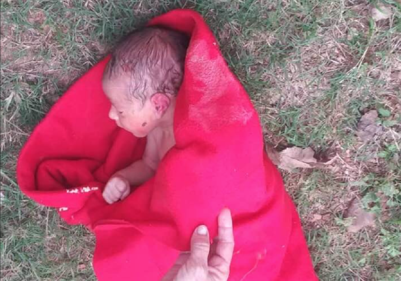 Screen Shot 2019-02-21 at 3.27.50 PM.png