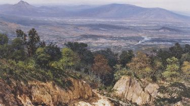 Detenidos en México 21 cubanos que viajaban en un camión ocultos en cajas vacías