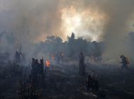 brasil sufre peores incendios forestales en mas de 10 anos