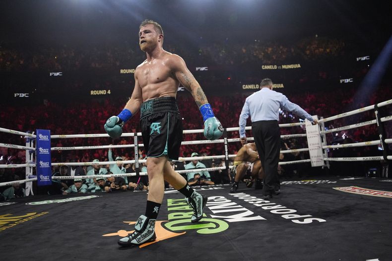 ARCHIVO - El mexicano Saúl Canelo Álvarez, se aleja a su esquina luego de derribar a Jaime Munguía en una pelea por el título de los supermedianos en Las Vegas, el 4 de mayo de 2024 (AP Foto/John Locher, archivo)