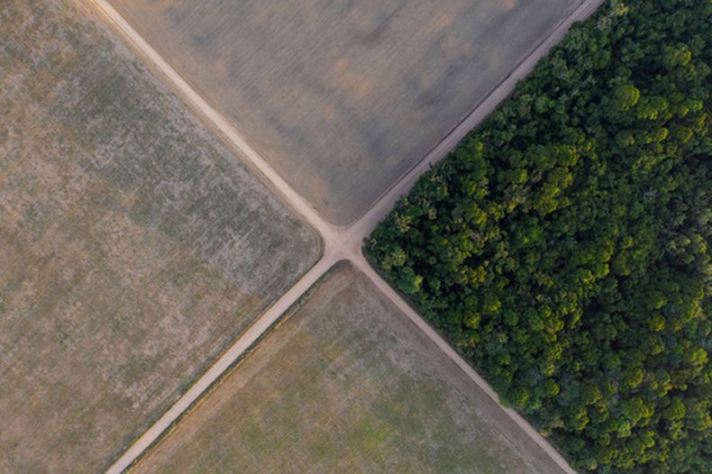 ARCHIVO - Una sección de la selva amazónica se encuentra junto a campos de soya, el 30 de noviembre de 2019, en Belterra, estado de Pará, Brasil. (AP/Leo Correa, archivo)
