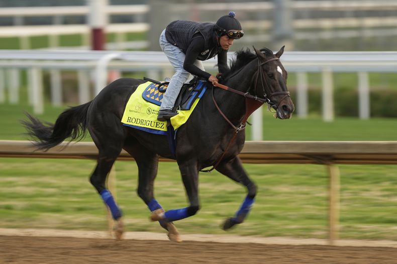El caballo Rodríguez entrena para el Derbi de Kentucky en Churchill Downs, el jueves 1 de mayo de 2025 (AP Foto/Charlie Riedel)