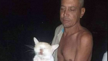 como en los anos 90´s, denuncian la venta de carne de gato en guantanamo, cuba