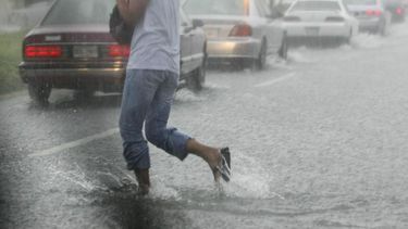 la acumulacion de lluvia registrada ayer ayudo a todos los embalses de la isla