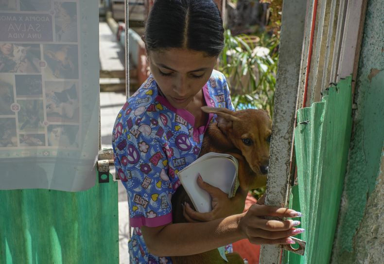 La técnica veterinaria Elizabeth Meade, fundadora del refugio Adopciones por Amor, sostiene a Linda n La Habana, Cuba, el miércoles 2 de octubre de 2024, el día que la perra fue adoptada por un nuevo cuidador. (AP Foto/Ramón Espinosa)