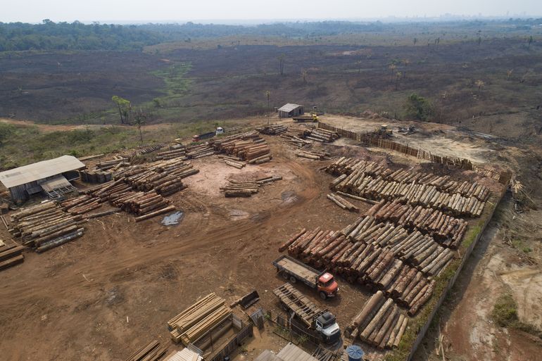 Fuentes: Brasil ocultó datos de deforestación por COP26