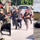 Persecución en la I-95 y tiroteo en Miami: Dos detenidos tras intenso operativo policial