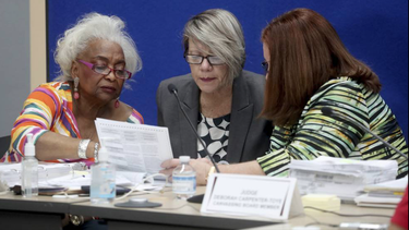 ordenan recuento de millones de votos en florida
