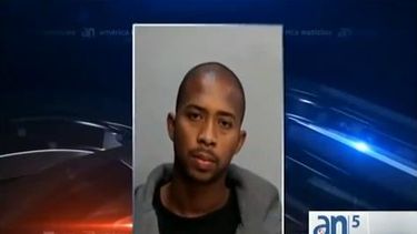 americateve | Este fin de semana reaparecieron los 15 cachorros de la raza bulldog francés que habían desaparecido la semana pasada, junto con su padre, el campeón llamado Che que ha ganado muchísimos premios en exposiciones caninas.