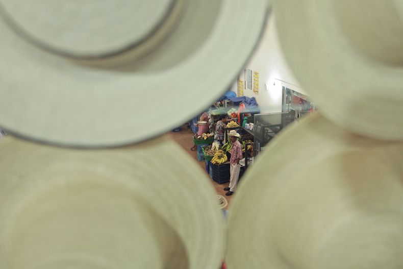 REP-GEN_PANAMA-SOMBRERO_PINTAO-1.jpg