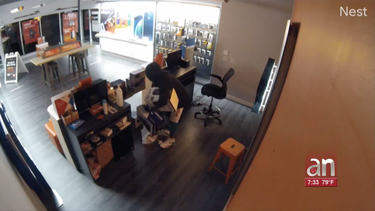 captado en camara el robo en una tienda de celulares en miami