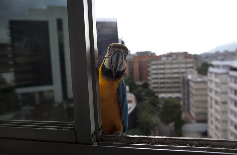 REP-GEN_VENEZUELA-CUBRIENDO_LA_CRISIS-1.jpg