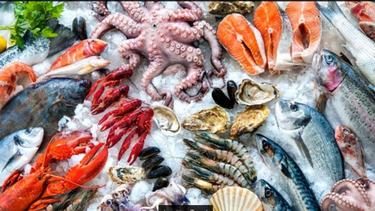 ¿cuales son los pescados que son menos nocivos para la salud porque tienen menos mercurio?